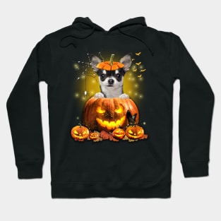 Black Chihuahua Spooky Halloween Pumpkin Dog Head Hoodie